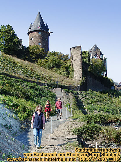 Town wall loop road from Bacharach on the Rhine River to castle Stahlberg.