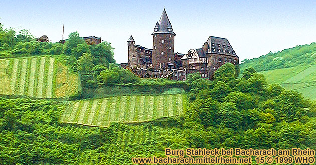 Castle Stahleck near Bacharach on the Rhine River